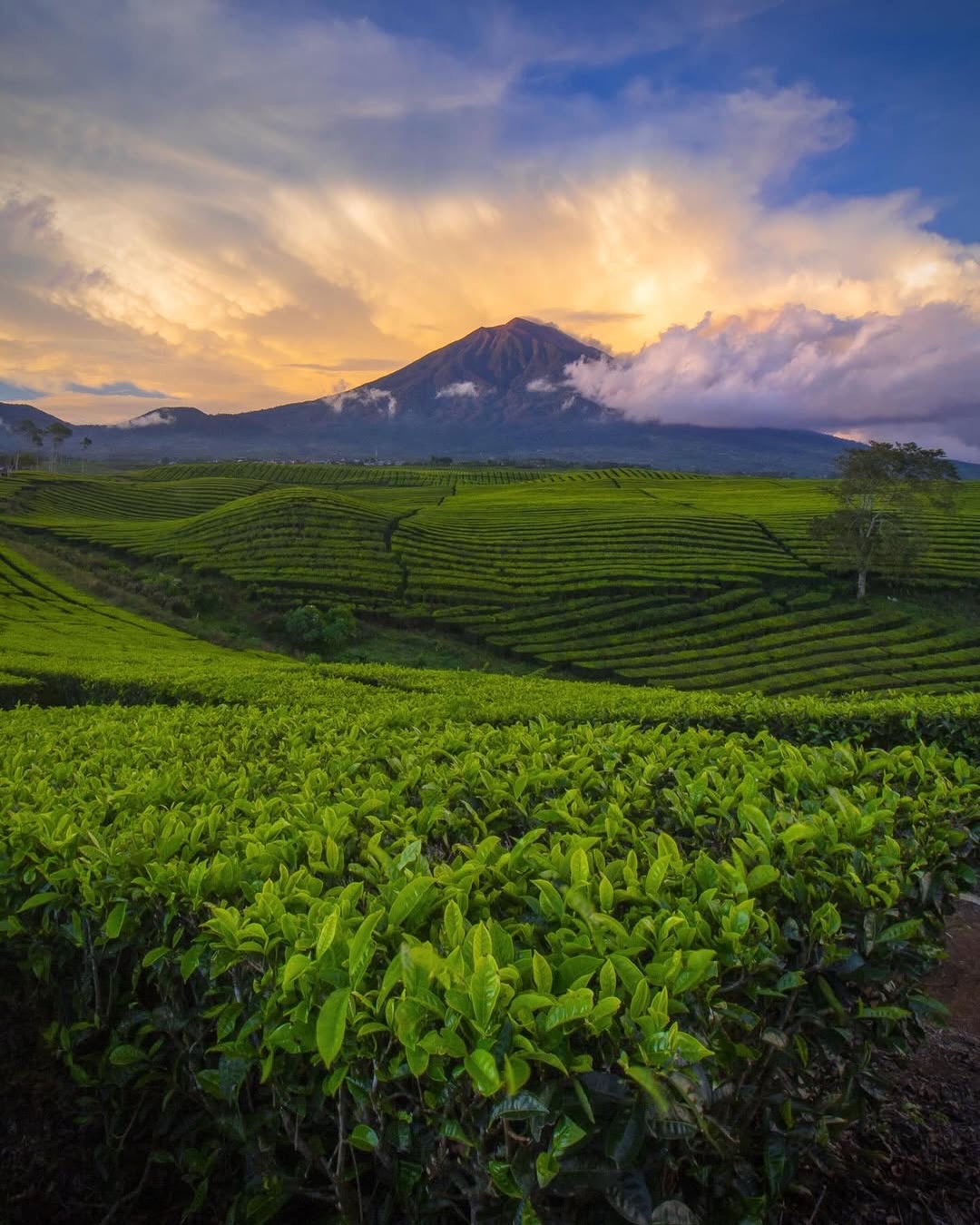 Foto Gunung Kerinci